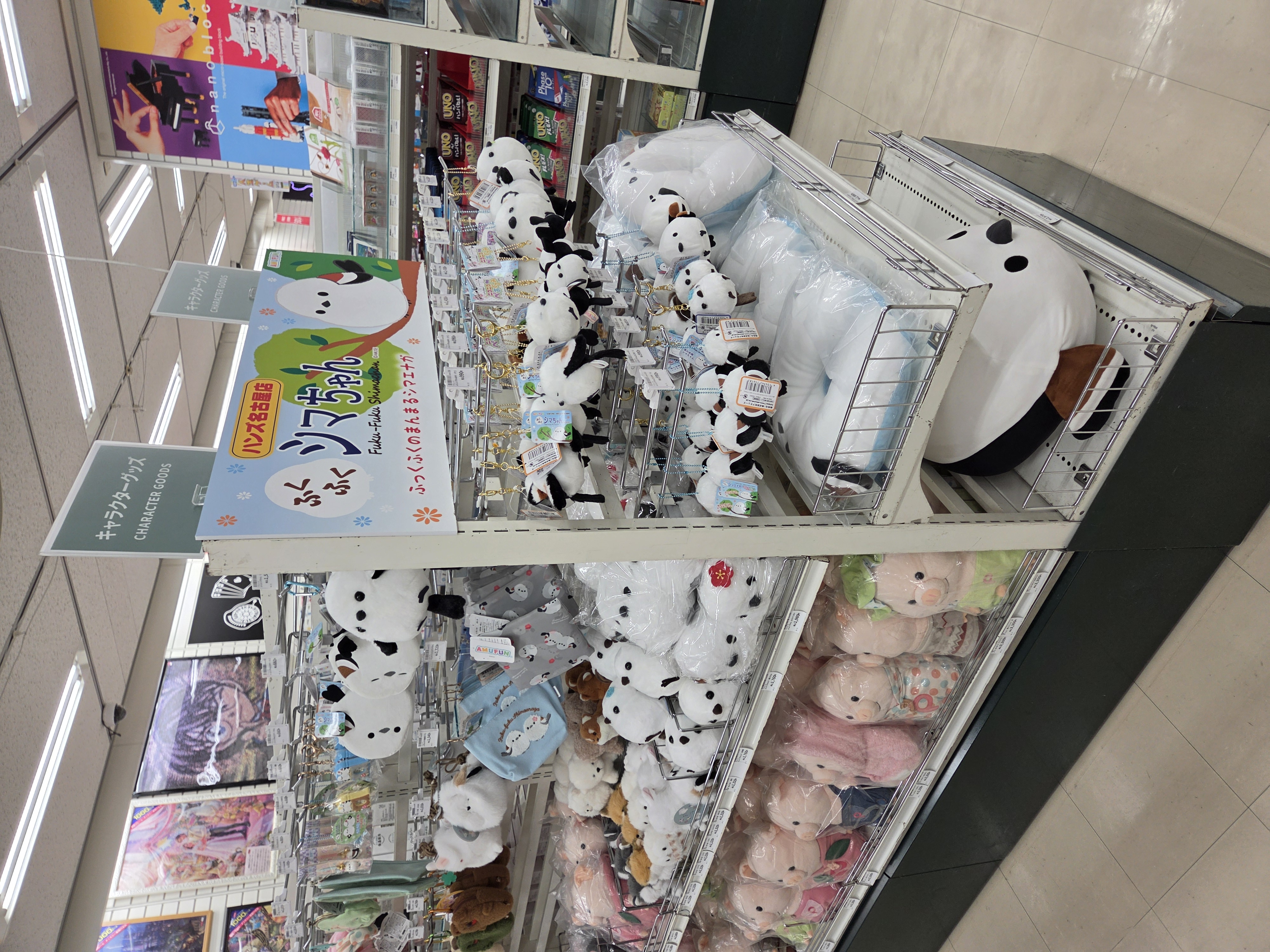 ハンズ名古屋店 8F バラエティー売場 展開写真 5